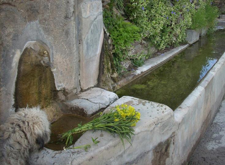 Casa Rural Vilaspasa, Alquiler Integro Gotarta Esterno foto